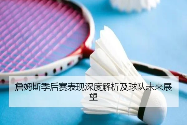 詹姆斯季后赛表现深度解析及球队未来展望